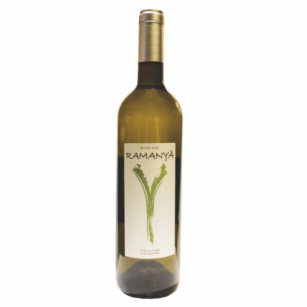 Bodega Ramanyà Weißwein - Vino Blanco